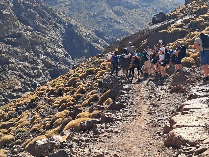 A loaded mule and trekkers pausing on a steep mountain trail